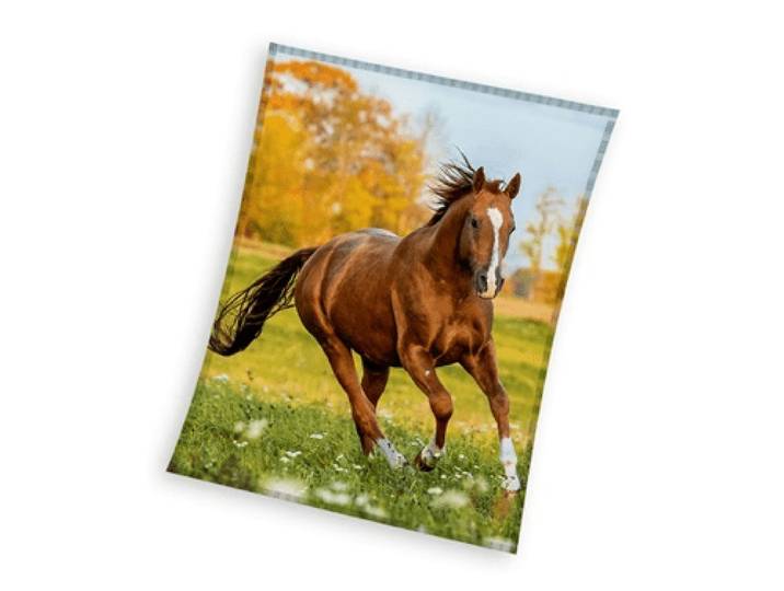 Sweet Home fleeceplaid Paard meerkleurig 150x200cm