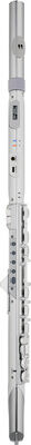 Roland Aerophone AE-Brisa