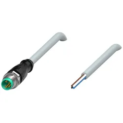Pepperl+Fuchs Fabrik Kabelstecker V31S-GM-0,3M-PUR