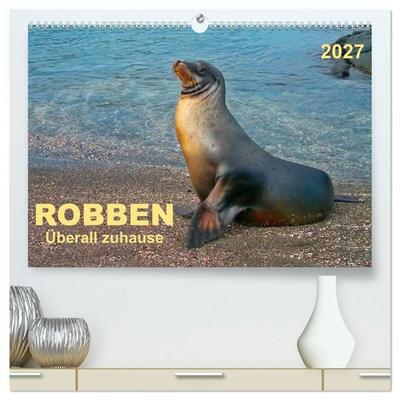 Robben - überall zuhause (hochwertiger Premium Wandkalender 2027 DIN A2 quer), Kunstdruck in Hochglanz
