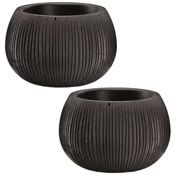 WellHome - Set von 2 Pflanztöpfen 0,75L Beton Bowl Ø29 cm/Stück in Farbe Zement schwarz
