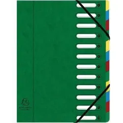Exacompta Ordnungsmappe Harmonika 55123E DIN A4 12Fächer grün