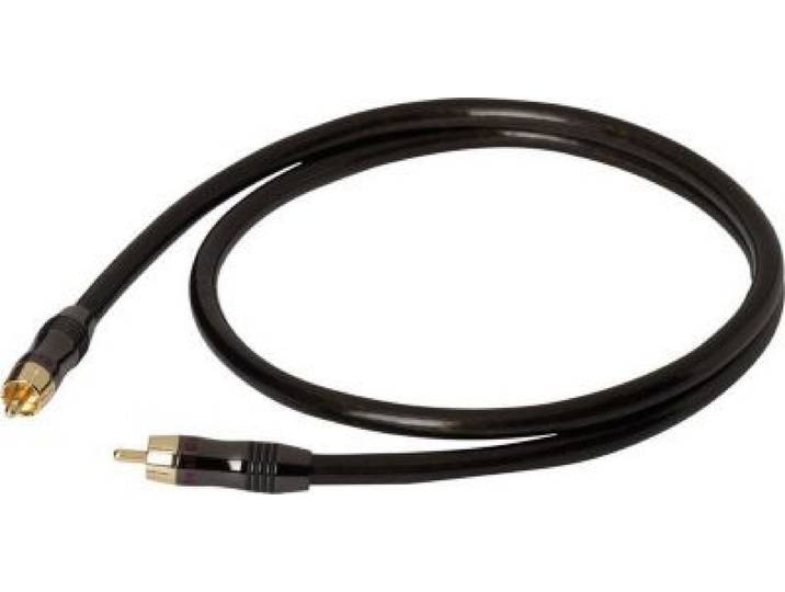 Real Cable - Câble Subwoofer Subwoofer 2mètres