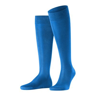 Kniestrümpfe FALKE "Tiago", Herren, Gr. 43-44, blau (sapphire), Baumwollmischung, unifarben, Socken Kniestrümpfe, mit leichtem Glanz, atmungsaktiv, aus Fil d’Écosse Baumwolle