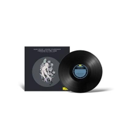 Friendship Survival Guide - Adam Jhann & Wiltzie Jhannsson, Vinyl