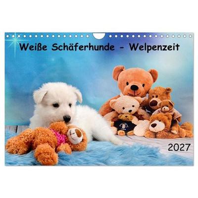 Weiße Schäferhunde - Welpenzeit (Wandkalender 2027 DIN A4 quer), CALVENDO Monatskalender