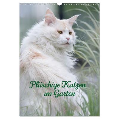 Plüschige Katzen im Garten (Wandkalender 2027 DIN A3 hoch), CALVENDO Monatskalender