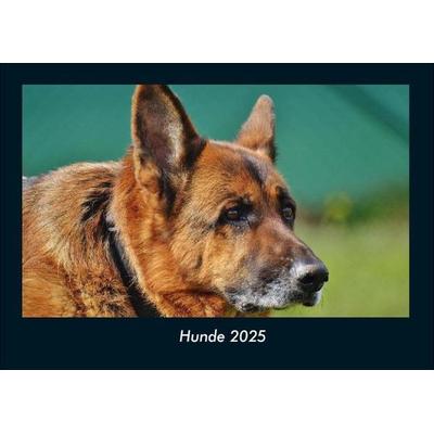 Hunde 2025 Fotokalender DIN A4