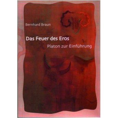 Das Feuer des Eros, Taschenbuch von Bernhard Braun, De Gruyter, 978-3-11-032058-9