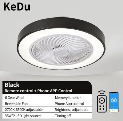 Uplifted Finds Integrated Modern Ceiling Fan Light black 110 V