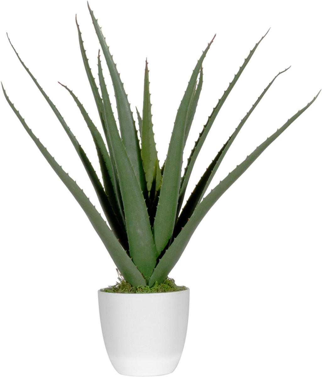 Paperflow kunstplant Aloe Vera succulent met pot, hoogte 45 cm