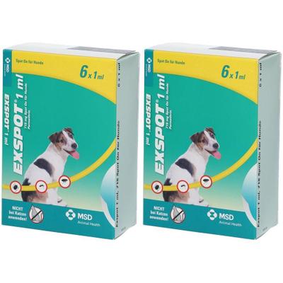 Exspot Lösung f.Hunde 2x 2x6x1 ml