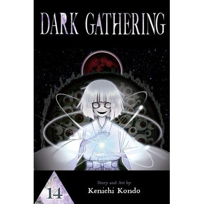 Dark Gathering, Vol. 14, Taschenbuch von Kenichi Kondo, Simon & Schuster Uk, 978-1-974755-33-2