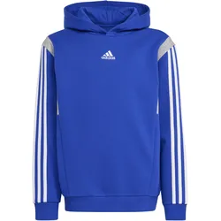Kids Adidas AG Adidas Kinder Kapuzenshirt/Hoodie Hoodie - Mehrfarbig - 164