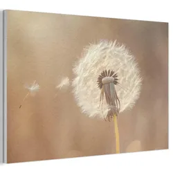 AKUSTIKBILD Löwenzahn - Beige - Natur - Blume Akustikpaneele 90x60 cm