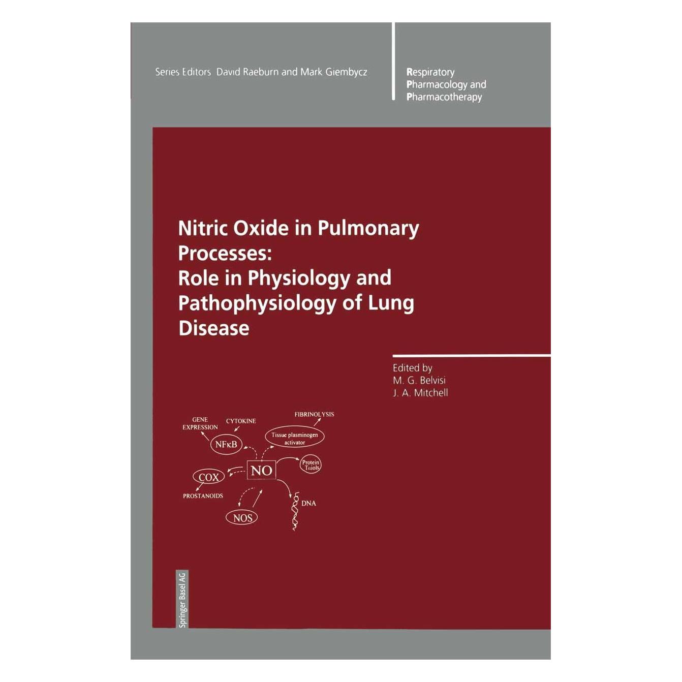 Birkhäuser Nitric Oxide in Pulmonary Processes (Englisch, Hardcover, Jane A. Mitchell, Maria G. Belvisi) (9783764357184)