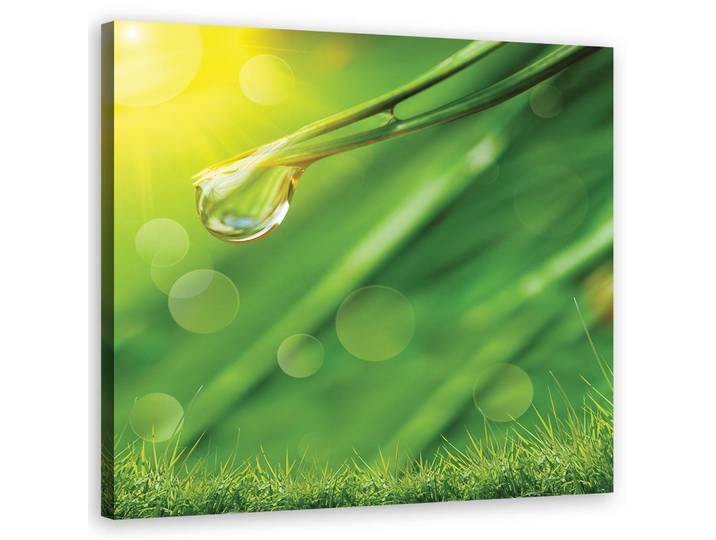 Feeby Wandbild tau auf dem gras, Grün, Floral, Rechteckig, 50x50 cm, Bilder & Rahmen, Bilder, Leinwandbilder