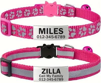 Inspired Living Personalized Reflective Cat Collar With Engraved ID & Safety Buckle rose