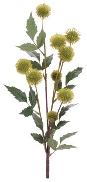 Melrose International Green Faux Pod Branches (Set of 6)