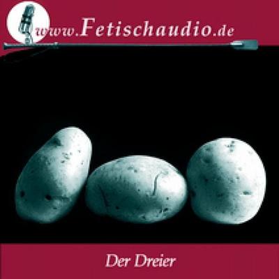 Der Dreier - Eine schwule Fetischstory - Pascha, Audio, 4056198063729