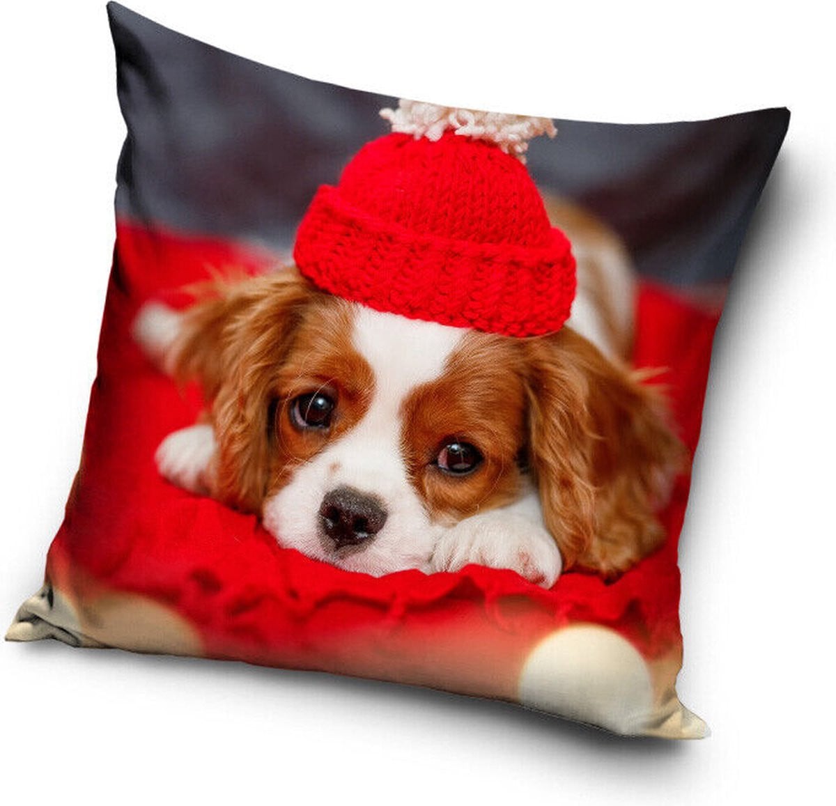 Huisdier N Huisdier Puppy Kussen Sierkussen voor Honden, 40 x 40 cm