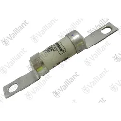 Vaillant Sicherung 0020175834