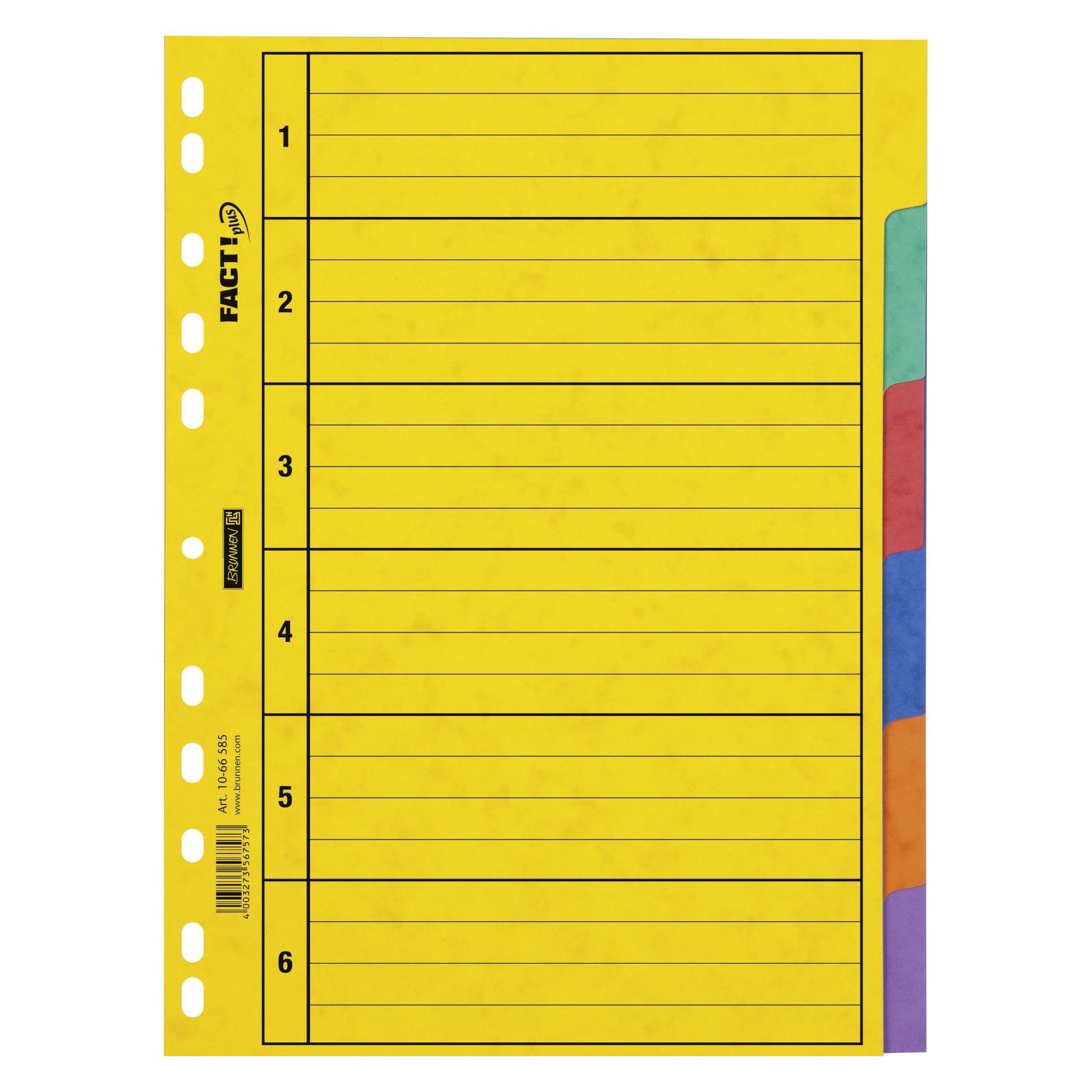 Brunnen Register A4 Fact Plus (1066585)
