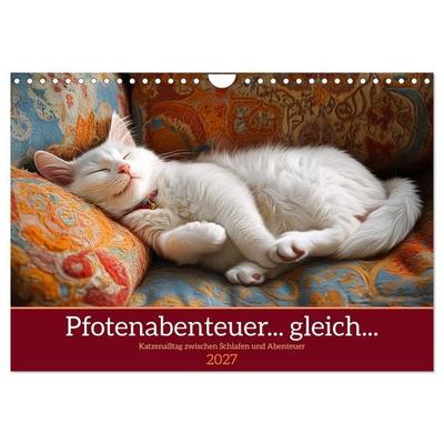 Pfotenabenteuer gleich (Wandkalender 2027 DIN A4 quer), CALVENDO Monatskalender