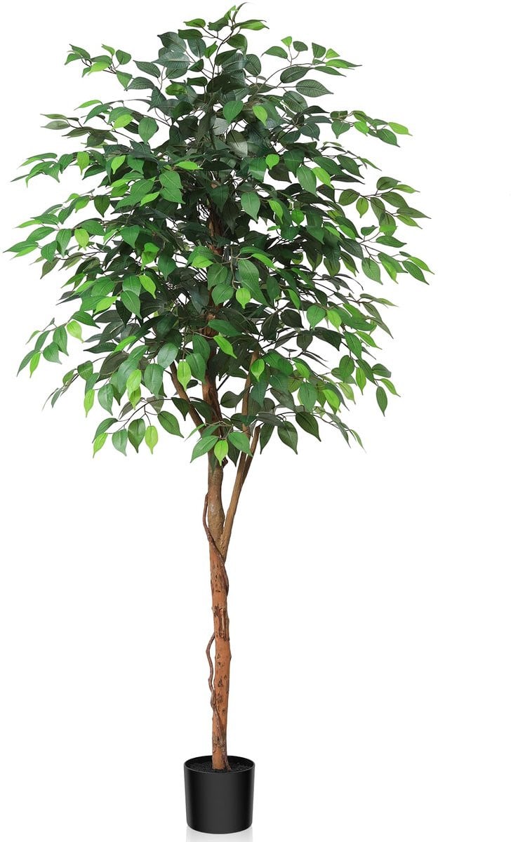 Kazeila Kunstplant Ficus Benjamina 180 cm met natuurlijke stammen