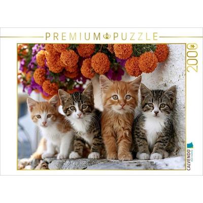 CALVENDO Puzzle Freunde machen jeden Tag schöner | 2000 Teile Lege-Größe 90x67cm Foto-Puzzle für glückliche Stunden