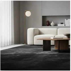 Teppich Kurzflor Waschbar ISAR in Schwarz, einfarbig, Ø 160 cm