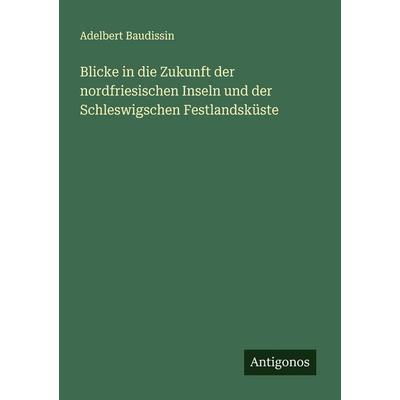 Blicke in die Zukunft der nordfriesischen Inseln und der Schleswigschen Festlandsküste, Taschenbuch von Adelbert Baudissin, Antigonos Verlag,