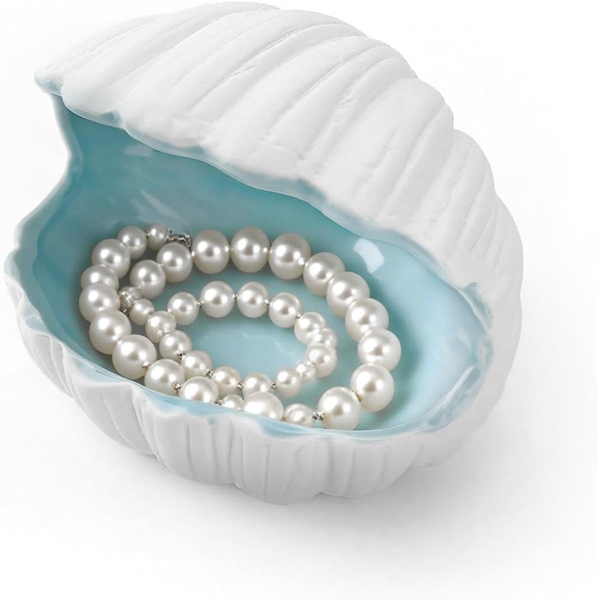 Conch Trinket Schotel Oceaan Zeeschelp Kom voor Sieraden en Decoratie