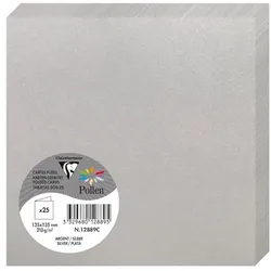 Pollen 250x Doppelkarte Pollen 135x135mm 210g - Silber 12889C