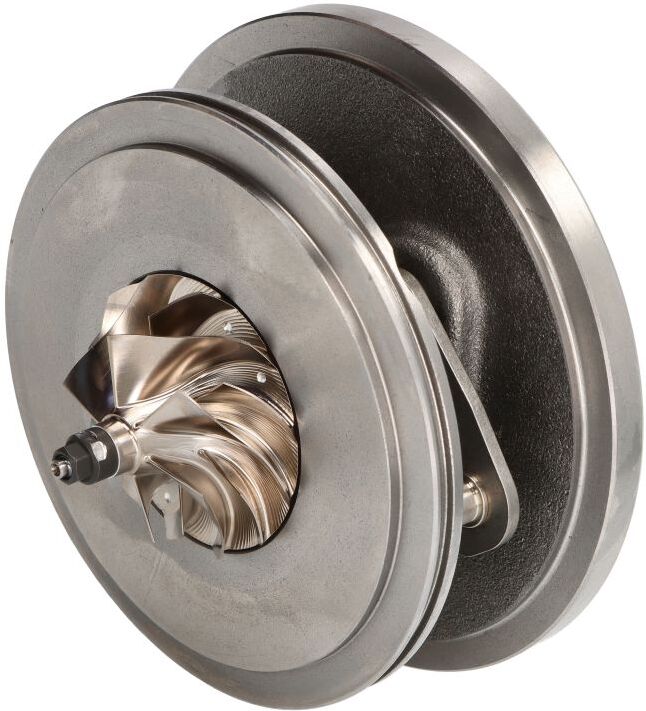 Cartouche / CHRA / Core Assy BMTS 40009467