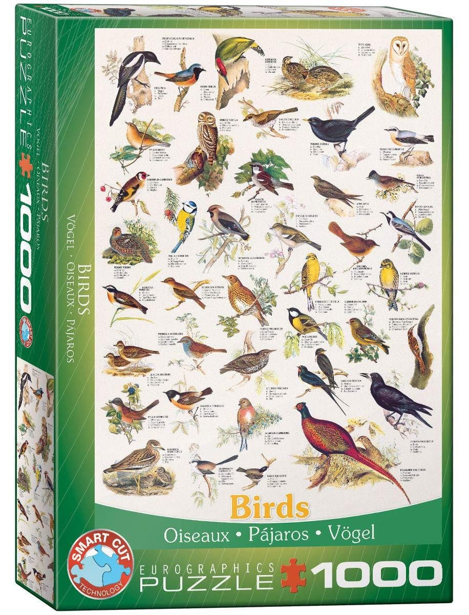 Sonstige Verlage Puzzel Vogels 1000 stukjes