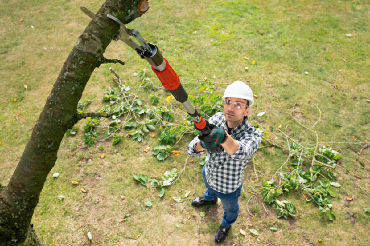 Bosch Akku-Gartenschere AdvancedPrune 18V-45 Verlängerungsstange (F016800602)
