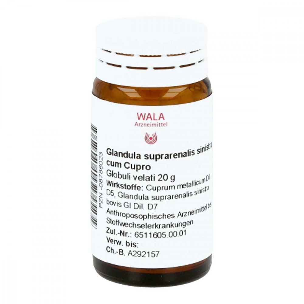 WALA Heilmittel GmbH Glandula Supraren. Sinis. cum Cupro Globuli 08786023