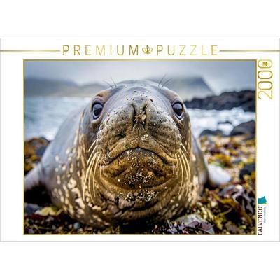 CALVENDO Puzzle Mehr Charme pro Tonne. | 2000 Teile Lege-Größe 90 × 67 cm Foto-Puzzle für glückliche Stunden, von , Calvendo Puzzle