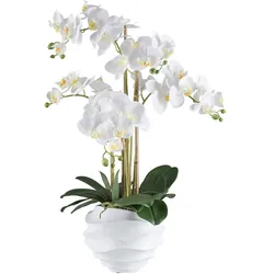 CREATIV green künstliche Pflanze Phalaenopsis, 70cm, "Real Touch"