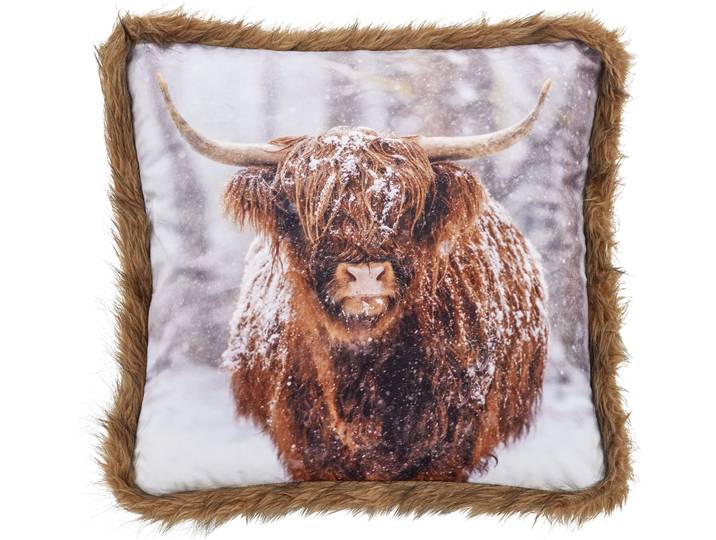 Dekokissen DONE. Highland , bunt (mehrfarbig), B:45cm L:45cm, Polyester, Dekokissen_Sitzkissen_Kissenhüllen, Dekokissen, Bedrucktes Kissen in feinem Samtstoff