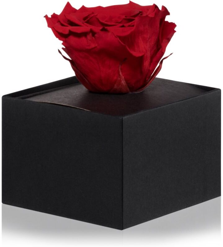 RoseAmor Red rose éternelle en boîte 1 pcs