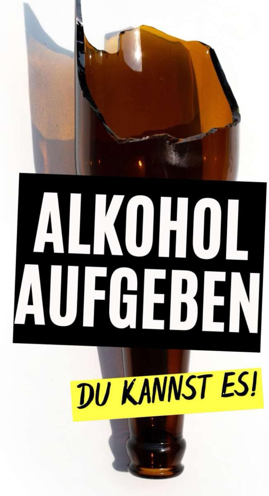 VC Brothers - Alkohol aufgeben : Du kannst es! - Preis vom 13.10.2026 11:25:28 h