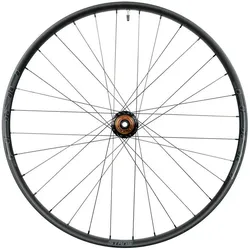 Stan's NoTubes Laufrad ARCH MK4 29 Zoll Vorderrad 15x110 mm schwarz,grau