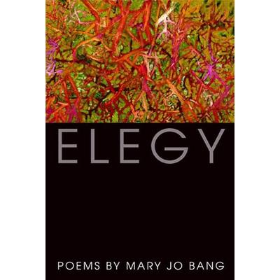 Elegy, Taschenbuch von Mary Jo Bang, Graywolf Press, 978-1-55597-540-1