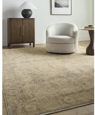 Galey Alix x Livabliss Fetscher II Vintage Medallion Area Rug
