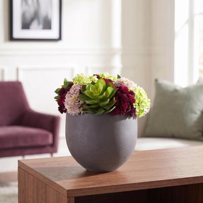 Creative Labs Succulent Arrangement in Fiberstone Pot