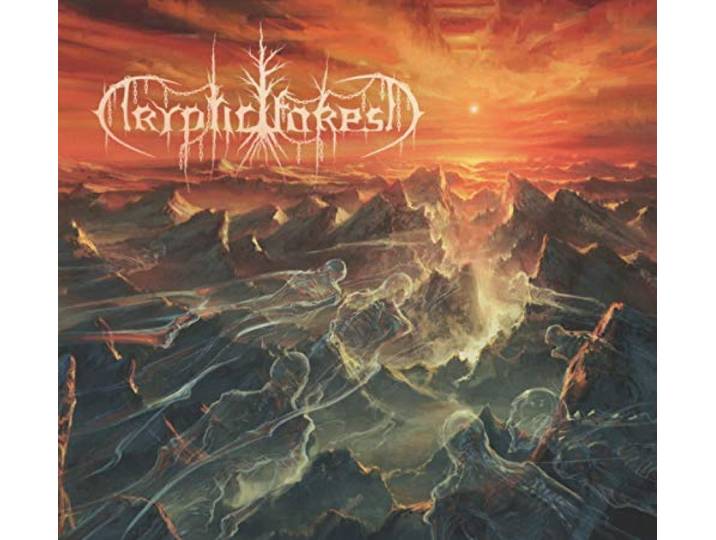 Cryptic Forest - Ystyr