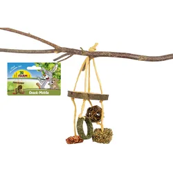 JR FARM Snack-Mobile 100g Kleintiersnack