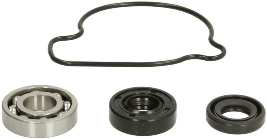 Reparatursatz, Wasserpumpe HOT RODS WPK0006